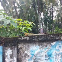 фото из отзыва ID 1445568