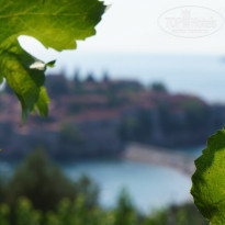 фото из отзыва ID 1445656