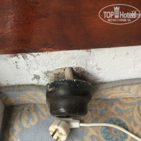 фото из отзыва ID 1445670