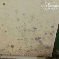 фото из отзыва ID 1445670