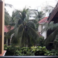 фото из отзыва ID 1443846