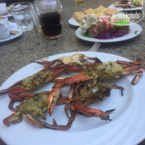 фото из отзыва ID 1445778