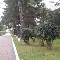 фото из отзыва ID 1446040