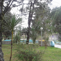 фото из отзыва ID 1446040