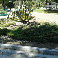 фото из отзыва ID 1446040