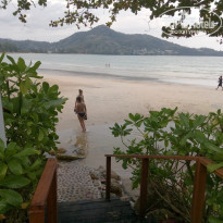 фото из отзыва ID 1446259