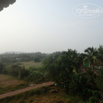 фото из отзыва ID 1446384