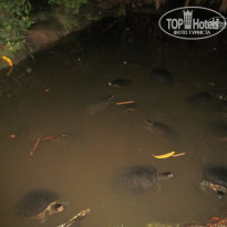 фото из отзыва ID 1446429