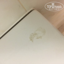 фото из отзыва ID 1446436