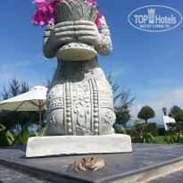 фото из отзыва ID 1446479