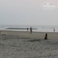 фото из отзыва ID 1446483