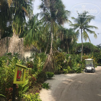 фото из отзыва ID 1446529