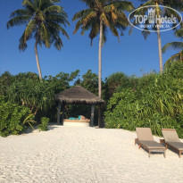 фото из отзыва ID 1446529