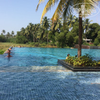 фото из отзыва ID 1443540