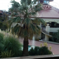 фото из отзыва ID 1446571