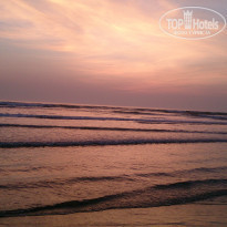 фото из отзыва ID 1445728