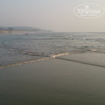 фото из отзыва ID 1445728