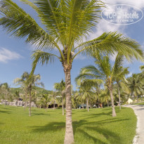 фото из отзыва ID 1446615