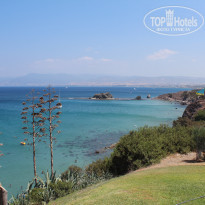 фото из отзыва ID 1446680