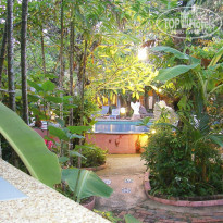 фото из отзыва ID 1446766