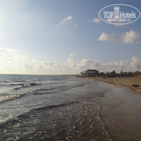 фото из отзыва ID 1446850