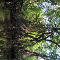 фото из отзыва ID 1446876