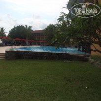 фото из отзыва ID 1446882