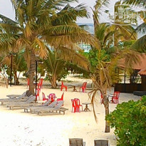 фото из отзыва ID 1446936