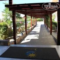 фото из отзыва ID 1446952