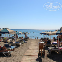 фото из отзыва ID 1446952