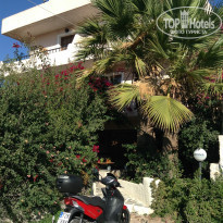 фото из отзыва ID 1446960