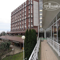 фото из отзыва ID 1446974