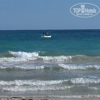 фото из отзыва ID 1447065