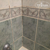 фото из отзыва ID 1447215