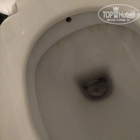 фото из отзыва ID 1447215