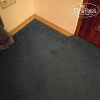 фото из отзыва ID 1447215