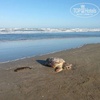 фото из отзыва ID 1447321