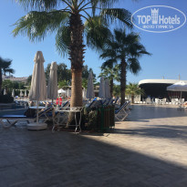 фото из отзыва ID 1447332