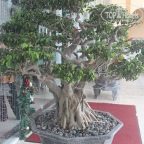 фото из отзыва ID 1447345