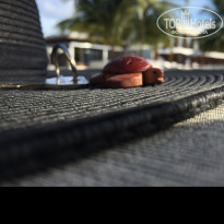 фото из отзыва ID 1447555