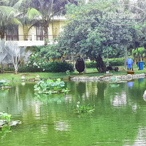 фото из отзыва ID 1447654