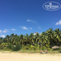 фото из отзыва ID 1447674