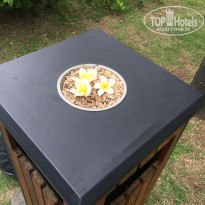 фото из отзыва ID 1447674