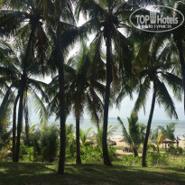 фото из отзыва ID 1447674