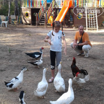 фото из отзыва ID 1447797