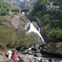 фото из отзыва ID 1445650