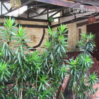 фото из отзыва ID 1447766