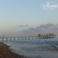 фото из отзыва ID 1448010