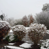 фото из отзыва ID 1448055