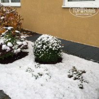 фото из отзыва ID 1448055